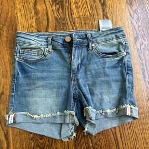 Joe's Jeans Distressed Blue Jean Shorts